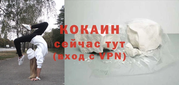 сатива Беломорск