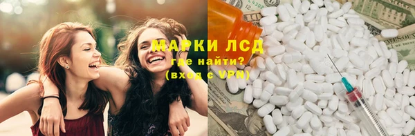 сатива Беломорск