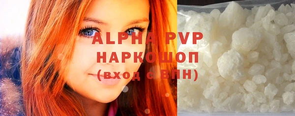сатива Беломорск