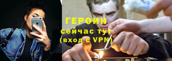 сатива Беломорск