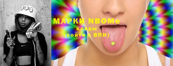 шишки Белоозёрский