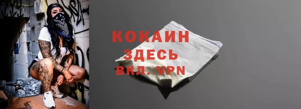 шишки Белоозёрский