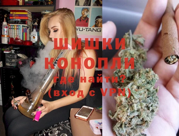 шишки Белоозёрский