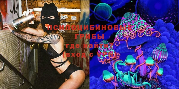 сатива Беломорск