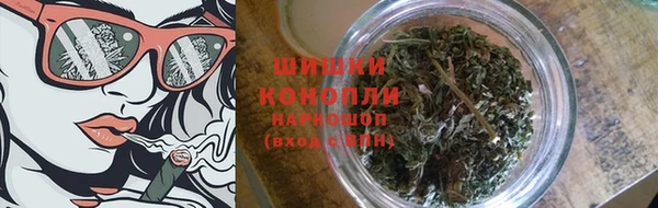 шишки Белоозёрский