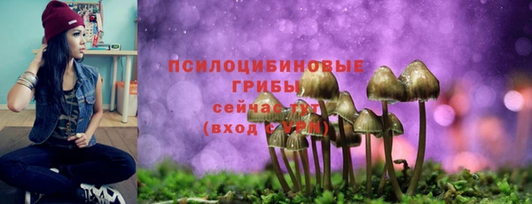 сатива Беломорск