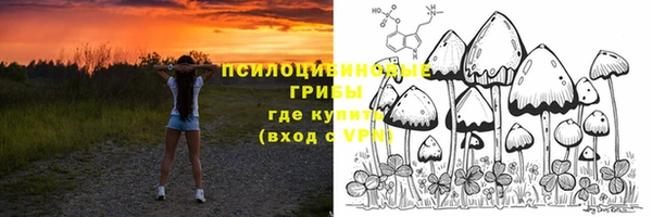 дмт Белокуриха