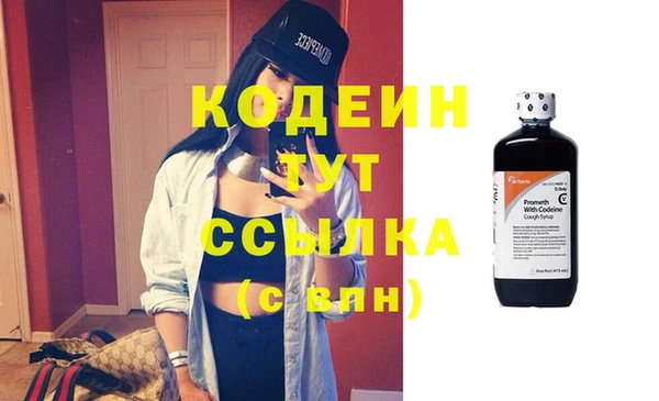 сатива Беломорск