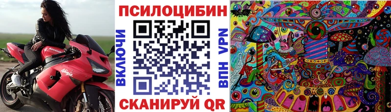 где можно купить наркотик  Онега  Псилоцибиновые грибы мицелий 